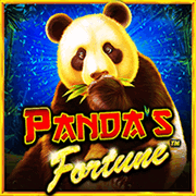 Vận may của Gấu trúc icon
